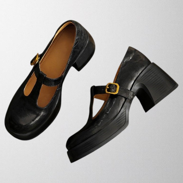 Dianna - Retro Charm Shoes